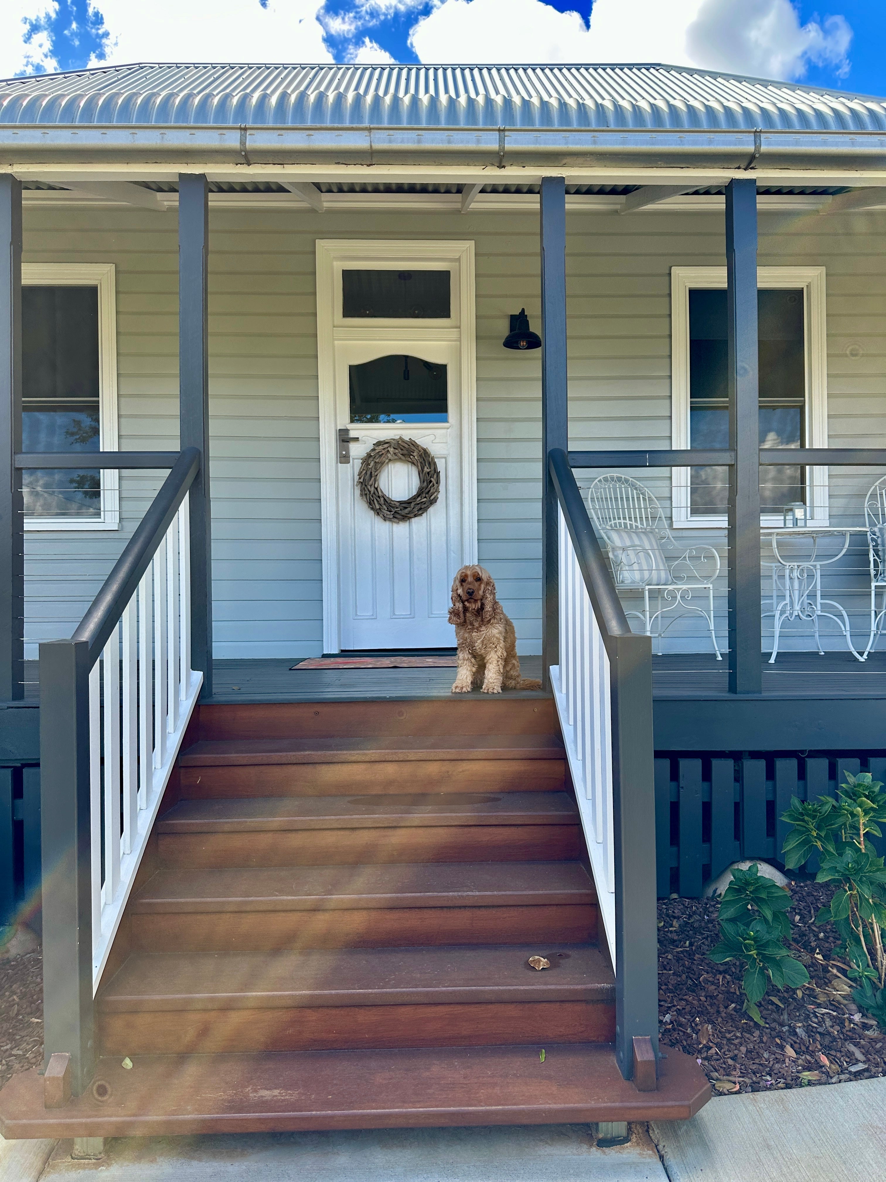 Dog-Friendly Toowoomba: My Cosy Winter Escape With My Dog 🐾