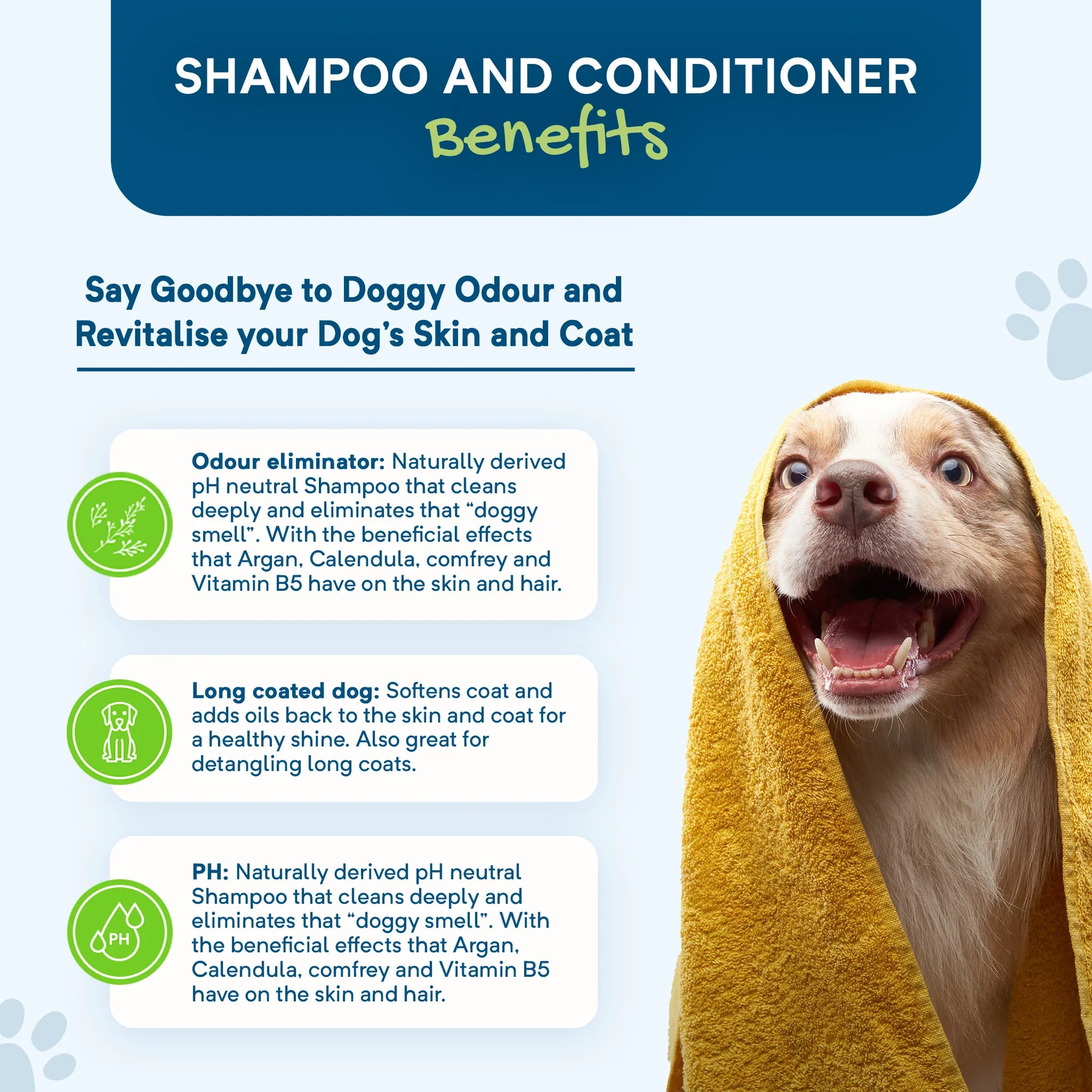 Stay Loyal – Calming Pet Shampoo 500ml