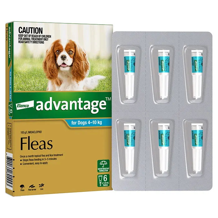 Advantage – Fleas – Dogs 4kg to 10kg