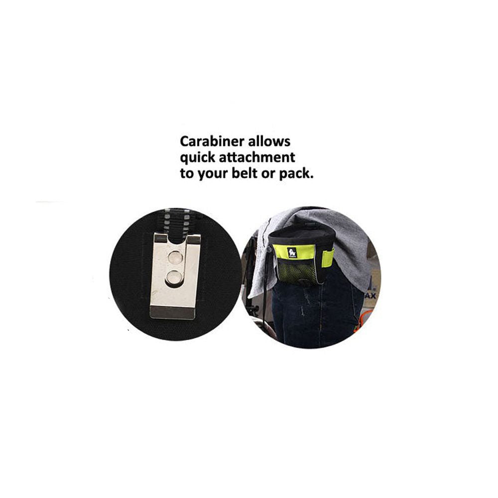 True Love Dog Treat Bag