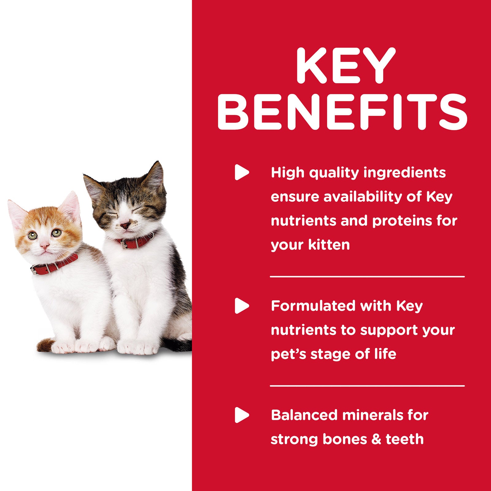 Hill’s – Science Diet – Wet Food Tins – Kitten Food