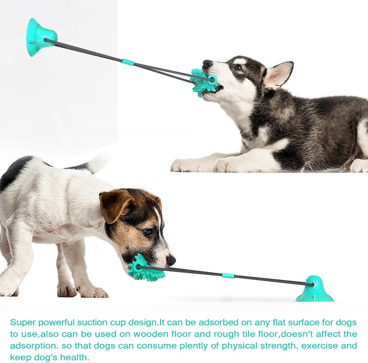 Blue Suction Dog Toy