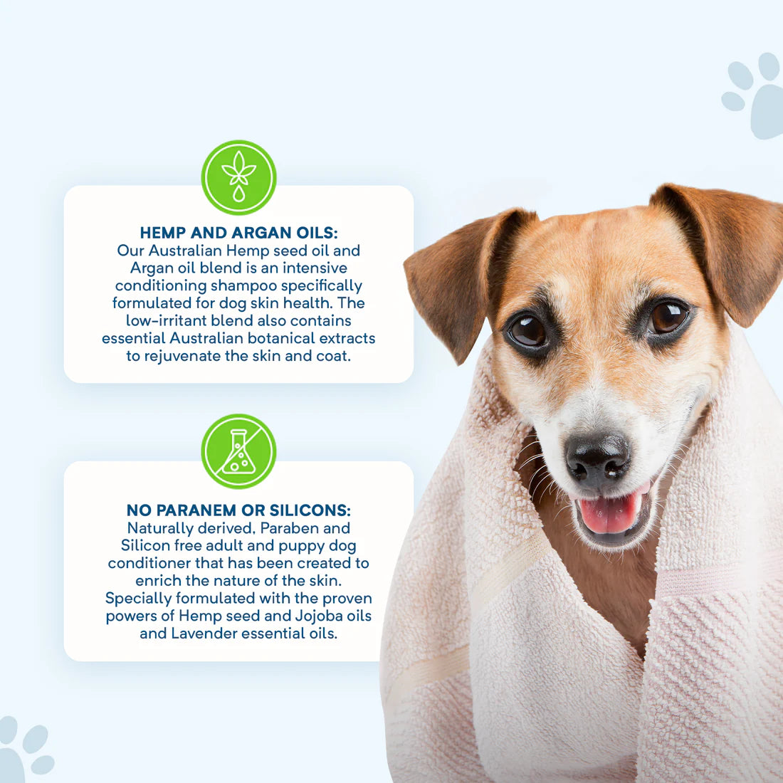 Stay Loyal – Calming Pet Shampoo 500ml