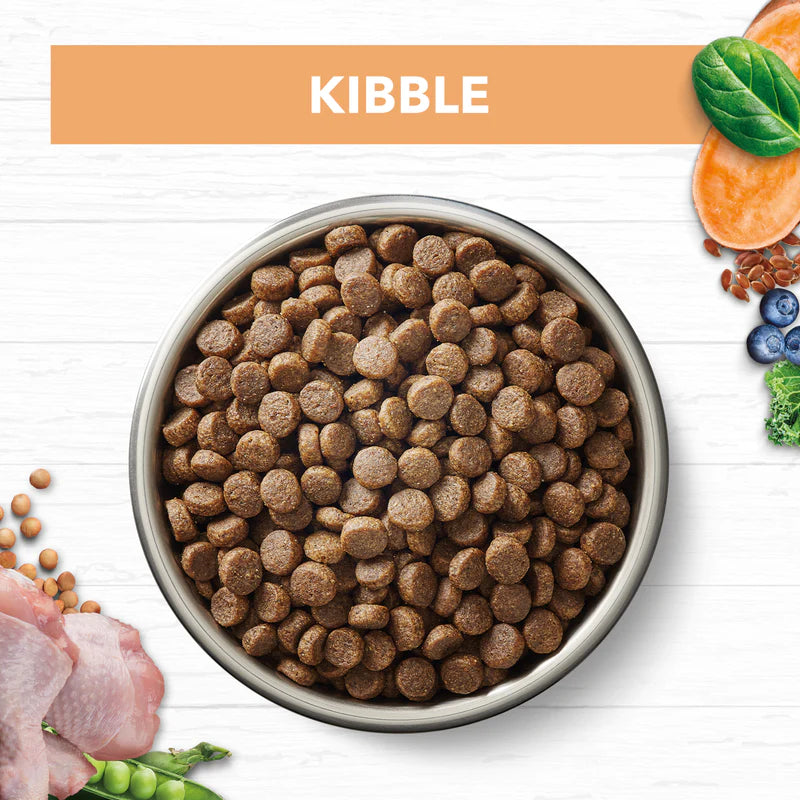 Ivory Coat – Kitten – GRAIN FREE – Chicken