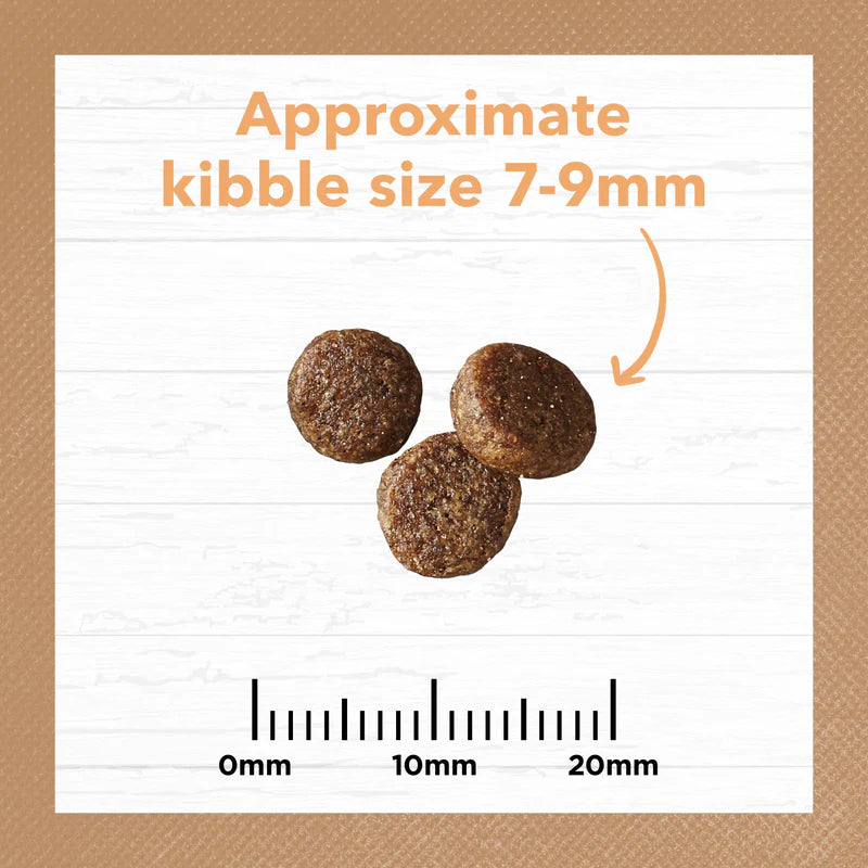 Ivory Coat – Kitten – GRAIN FREE – Chicken