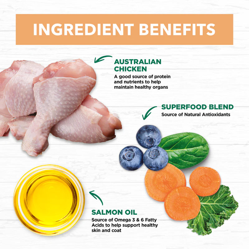 Ivory Coat – Kitten – GRAIN FREE – Chicken