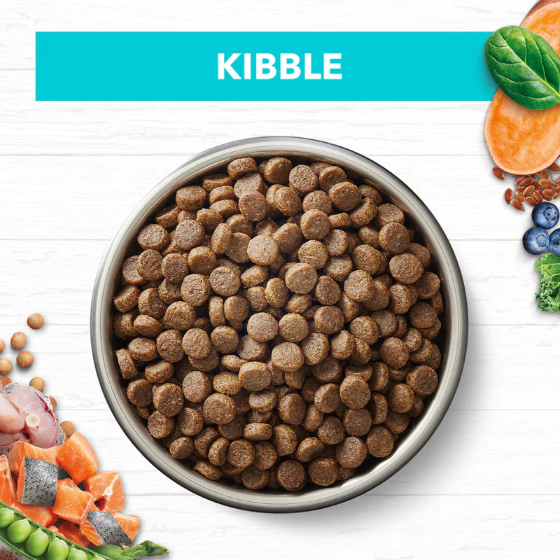 Ivory Coat – Kitten – GRAIN FREE – Ocean Fish & Salmon