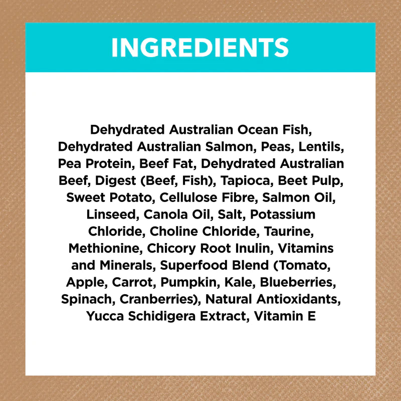 Ivory Coat – Kitten – GRAIN FREE – Ocean Fish & Salmon