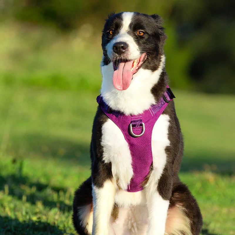 The Houdini-Proof Cordura® Dog Harness - Army Green
