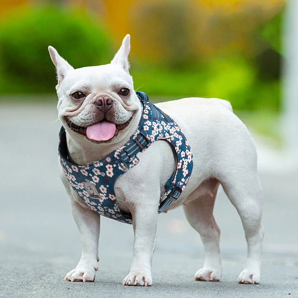 Floral Doggy Harness - Blue