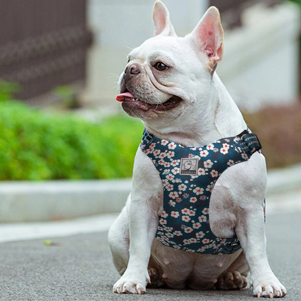 Floral Doggy Harness - Blue