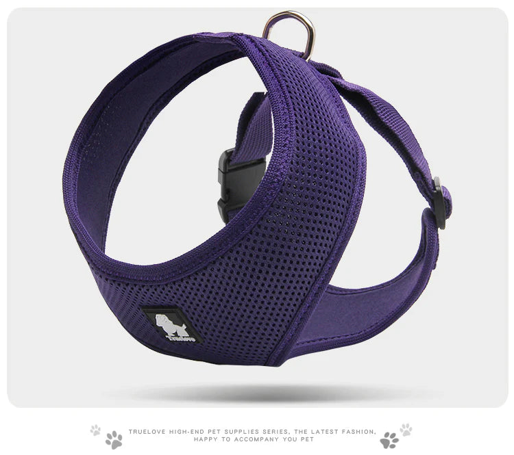 The Everyday Dog Harness with Steel D Ring - Purple