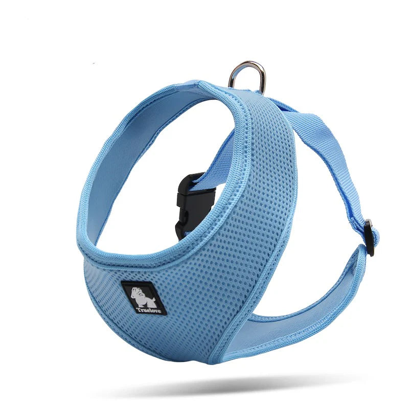 The Everyday Dog Harness with Steel D Ring - Blue