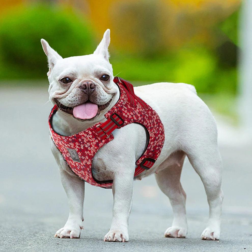 Floral Doggy Harness - Red
