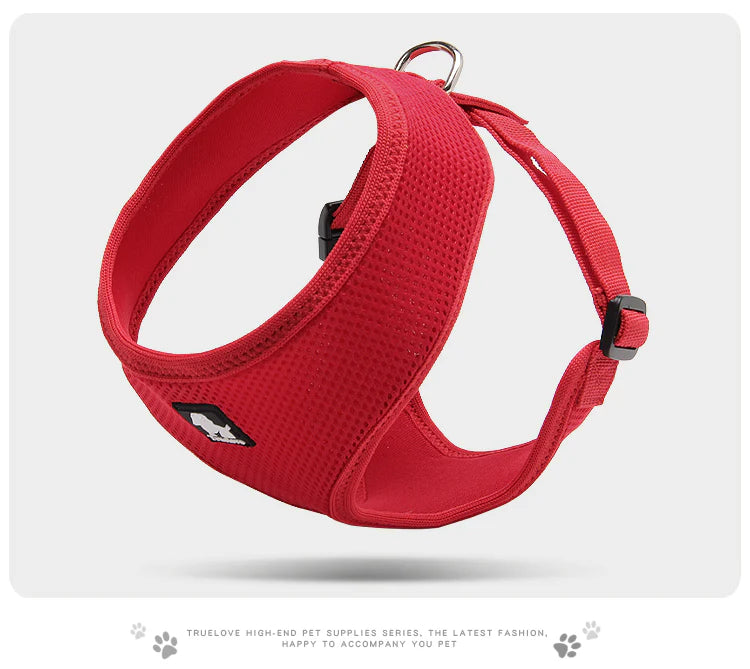 The Everyday Dog Harness with Steel D Ring - Red