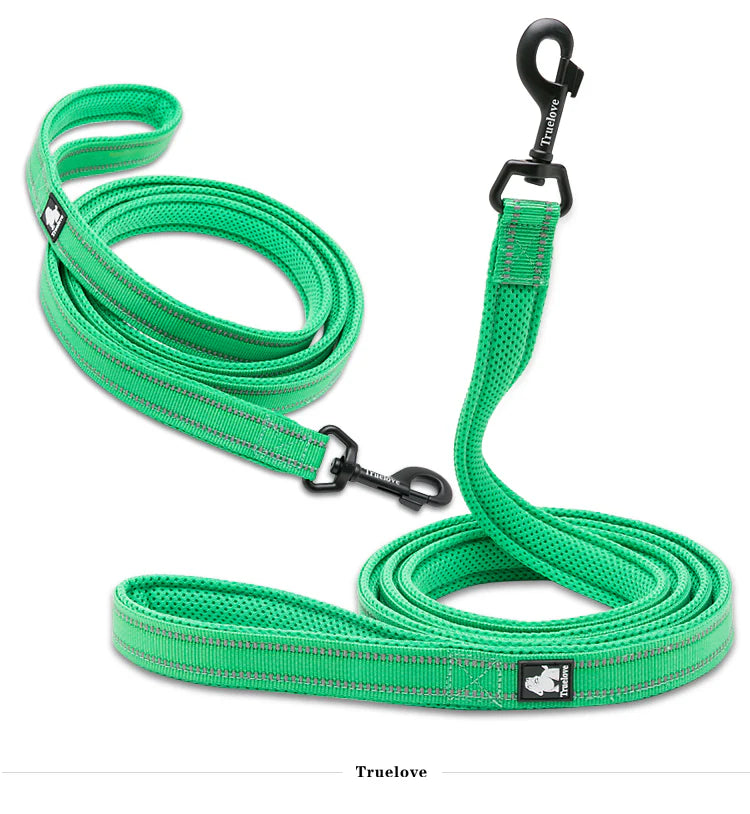 Reflective Pet Leash 2m - Green