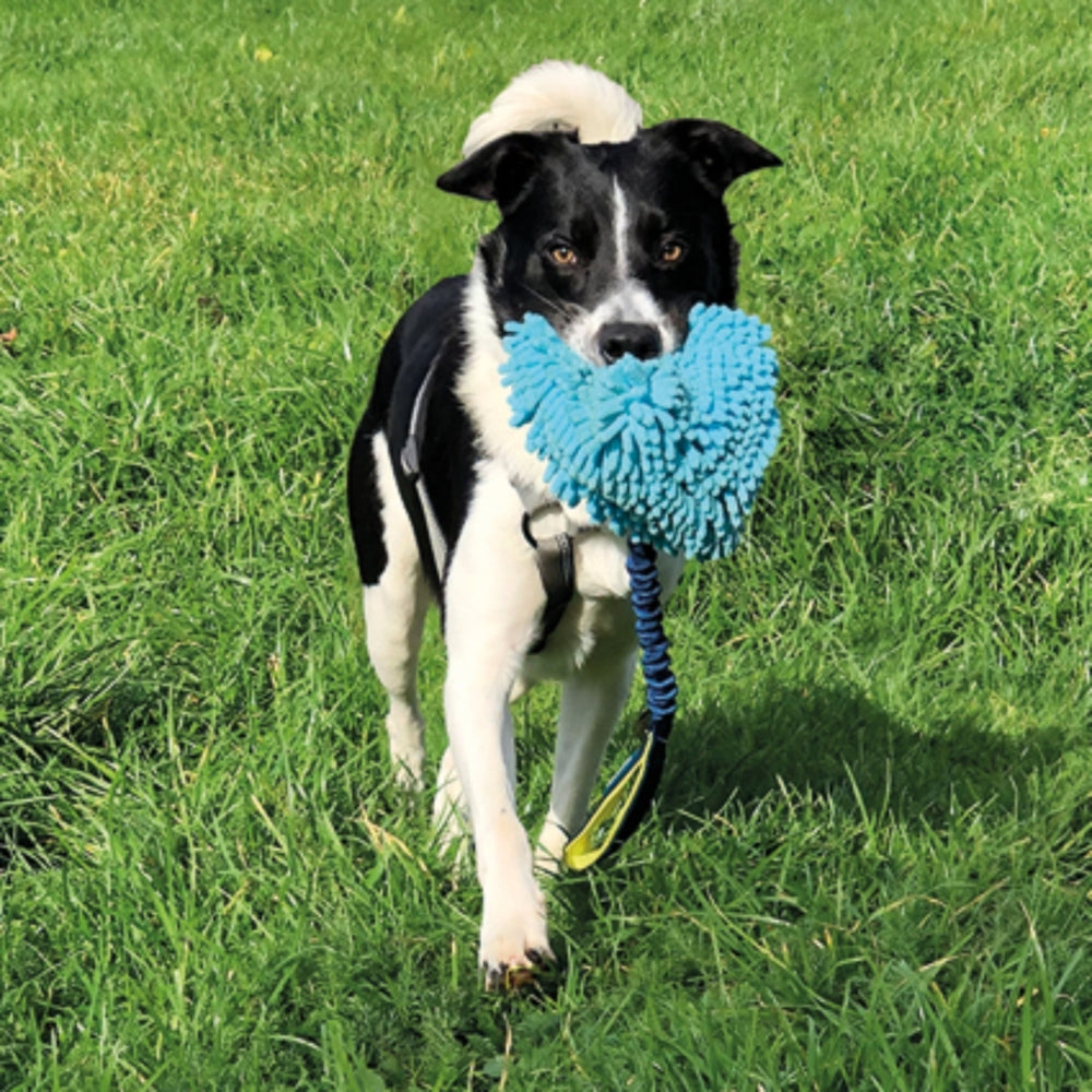 Dog Tug Toy