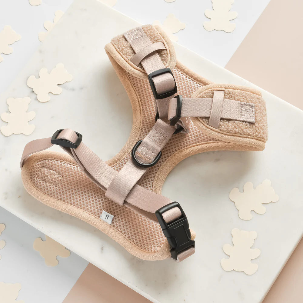 Cocopup London – Adjustable Neck Dog Harness – Teddy Rupert