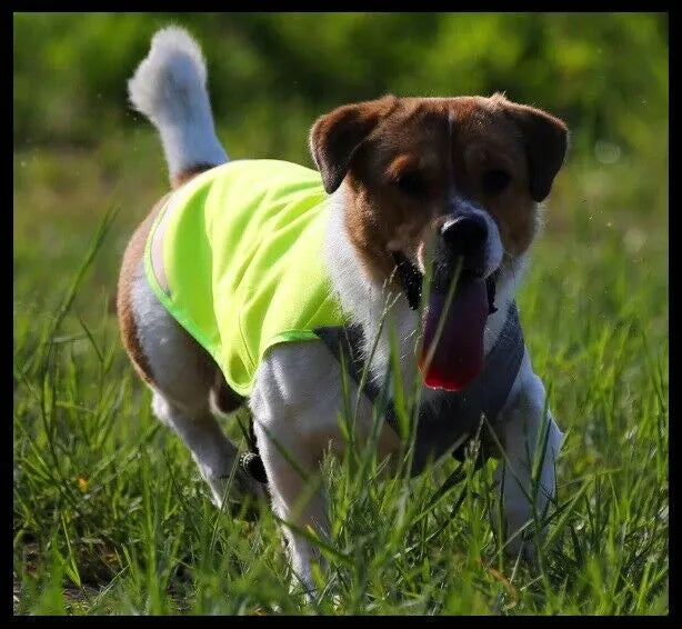 Waterproof Dog Jacket with Reflective Safety Design - Yellow