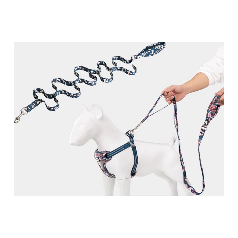 Floral Multi Handle Dog Lead - Blue