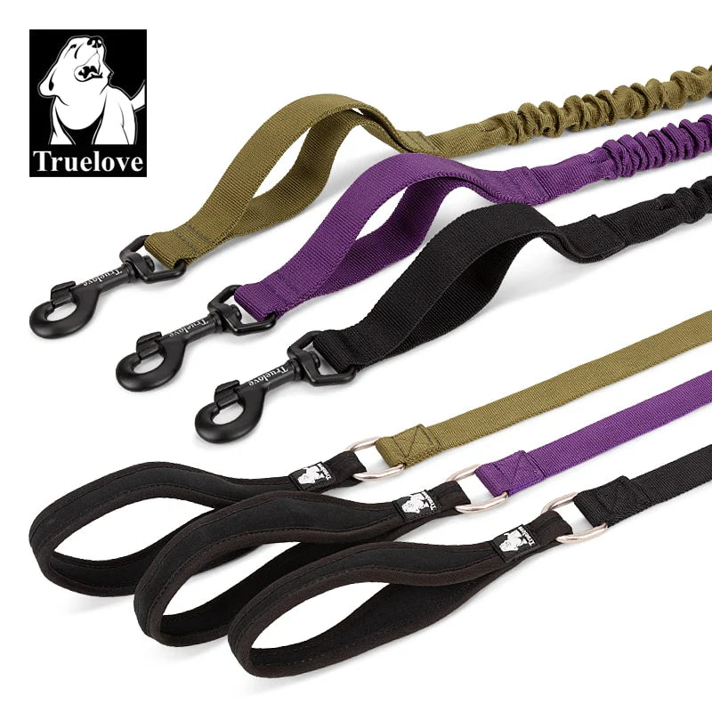 Bungee Dog Leash With Soft Padded Handle - Purple