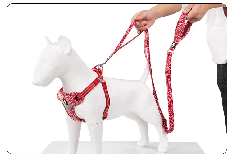 Floral Dog Leash With Multiple Handles - Red
