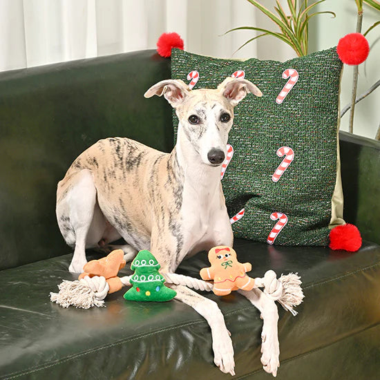 Happy Woofmas – Holiday Gingerbread Dog Toy