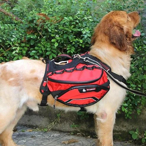 Adventure-Ready Dog Backpack Harness 2-in-1 - Red