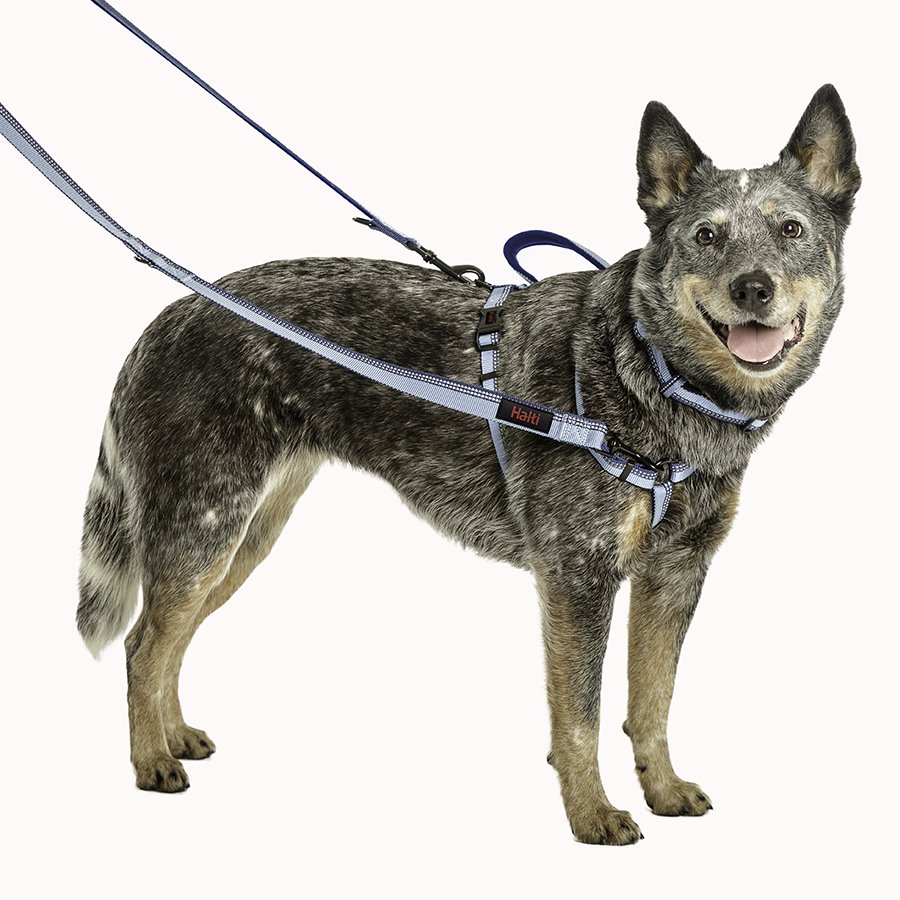 Halti – Double Ended Dog Lead – Black