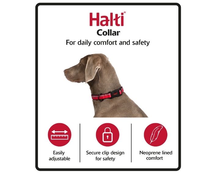 Company of Animals – Halti – Comfort Dog Collar – Purple