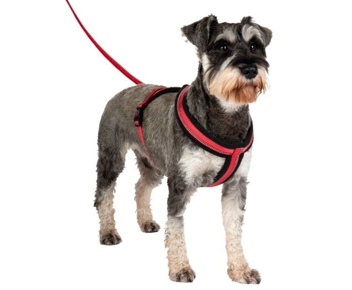 Company of Animals – Halti – Comfy Dog Harness XS