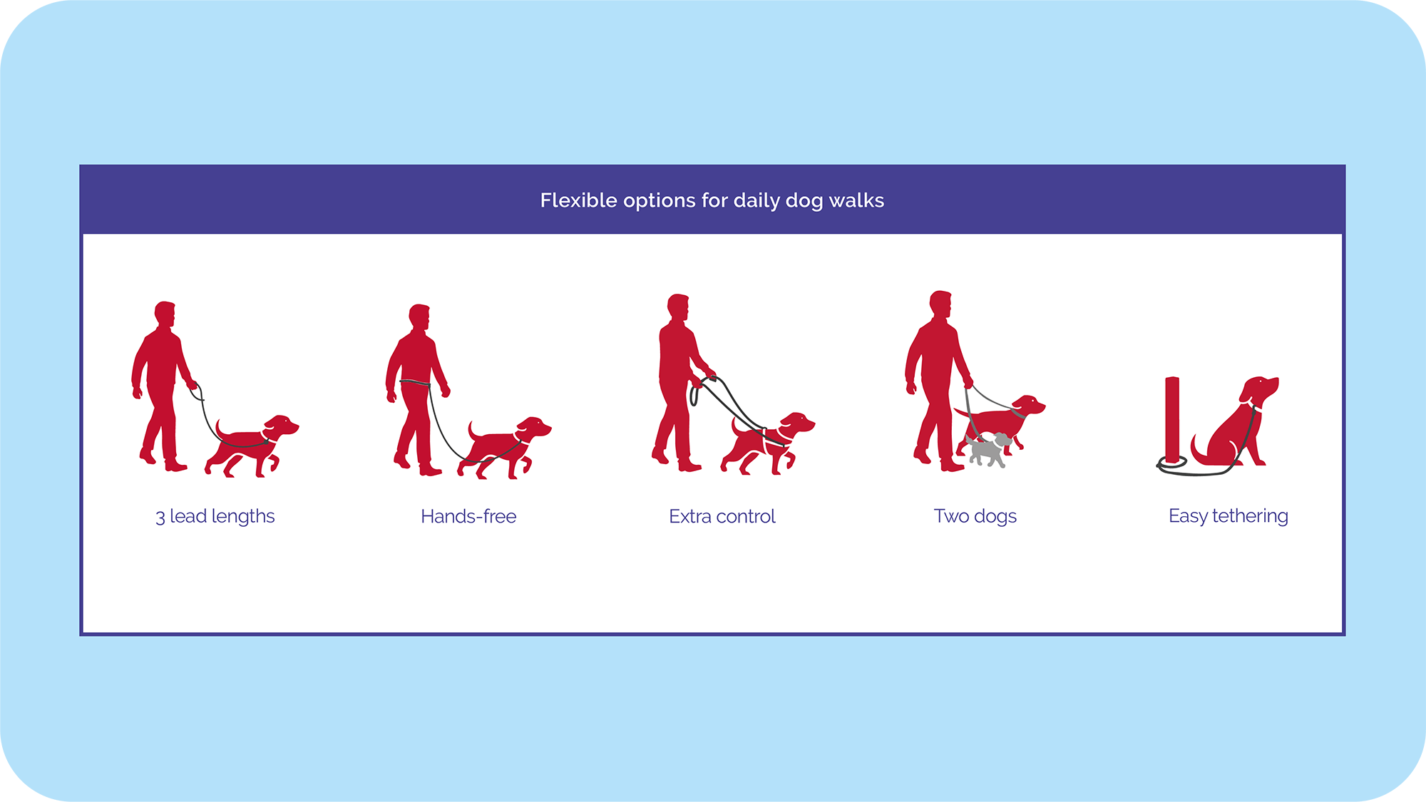 Halti – Double Ended Dog Lead – Black