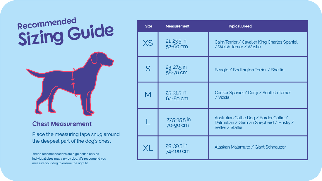 Company of Animals – Halti – Comfy Dog Harness XS