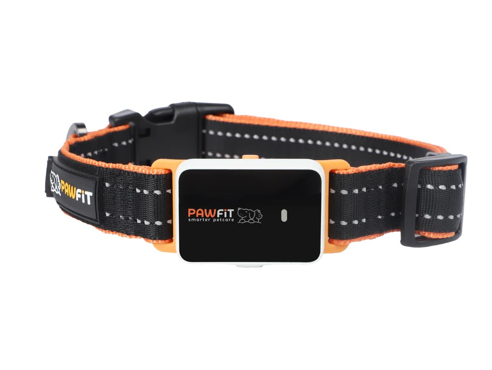 Pawfit 3 Pet Tracker GPS