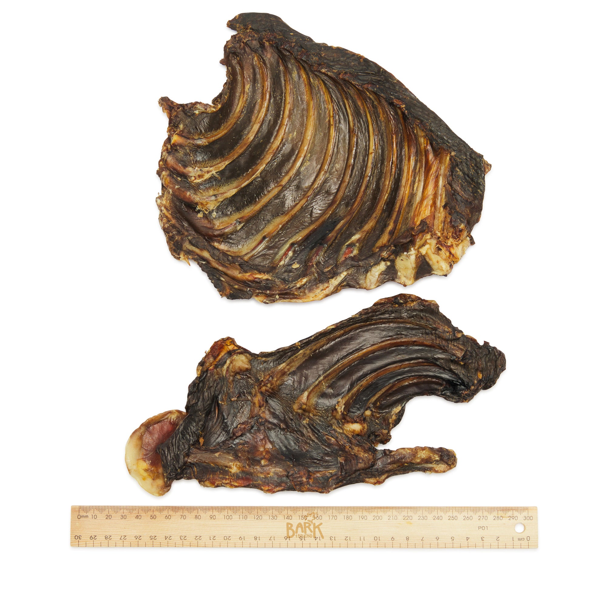 Bark & Beyond – Kangaroo Rib Rack Dog Treat