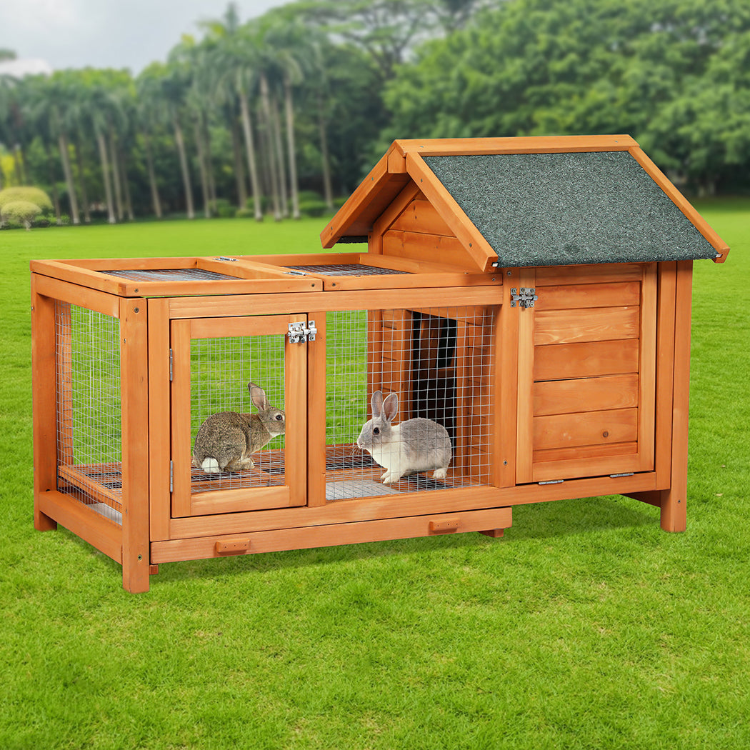 Pawz Rabbit Hutch-1894516780639064070