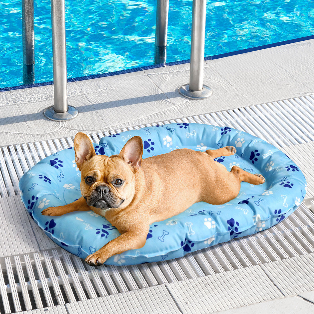 Pawz Pet Cooling Mat S Blue-1894516779099754502