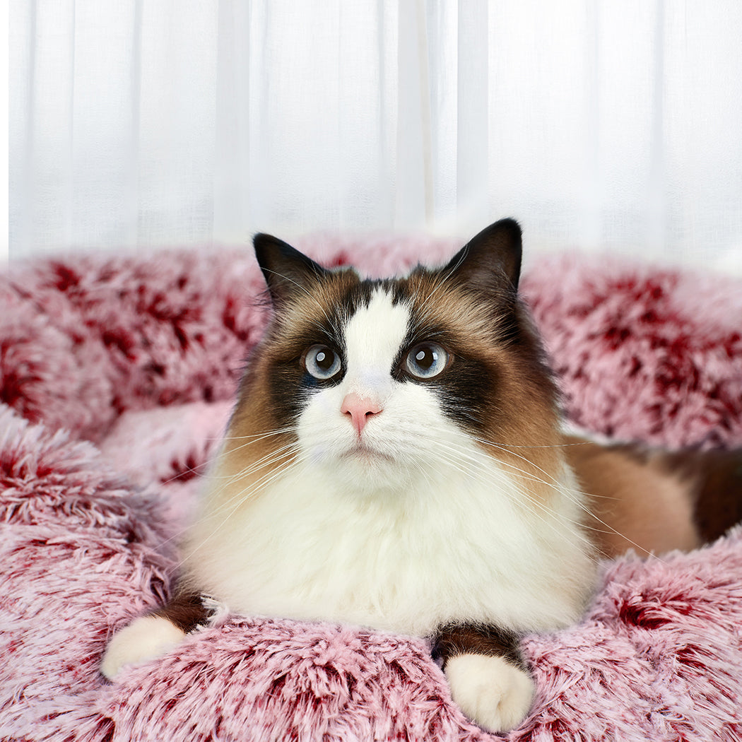 PaWz Pet Bed Memory Foam Dog Donut Pink Medium-1864184559785086982