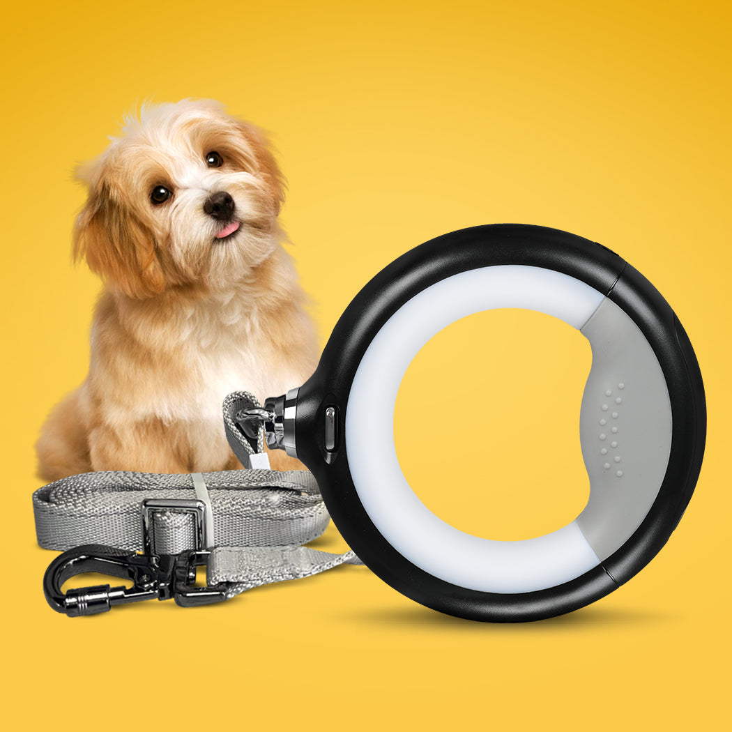PaWz LED Dog Leash Lead Walking Rope Black-1864184546673692678