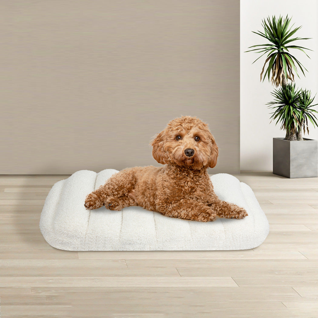 Orthopedic Dog Bed with Sherpa Plush Removable Cover in White