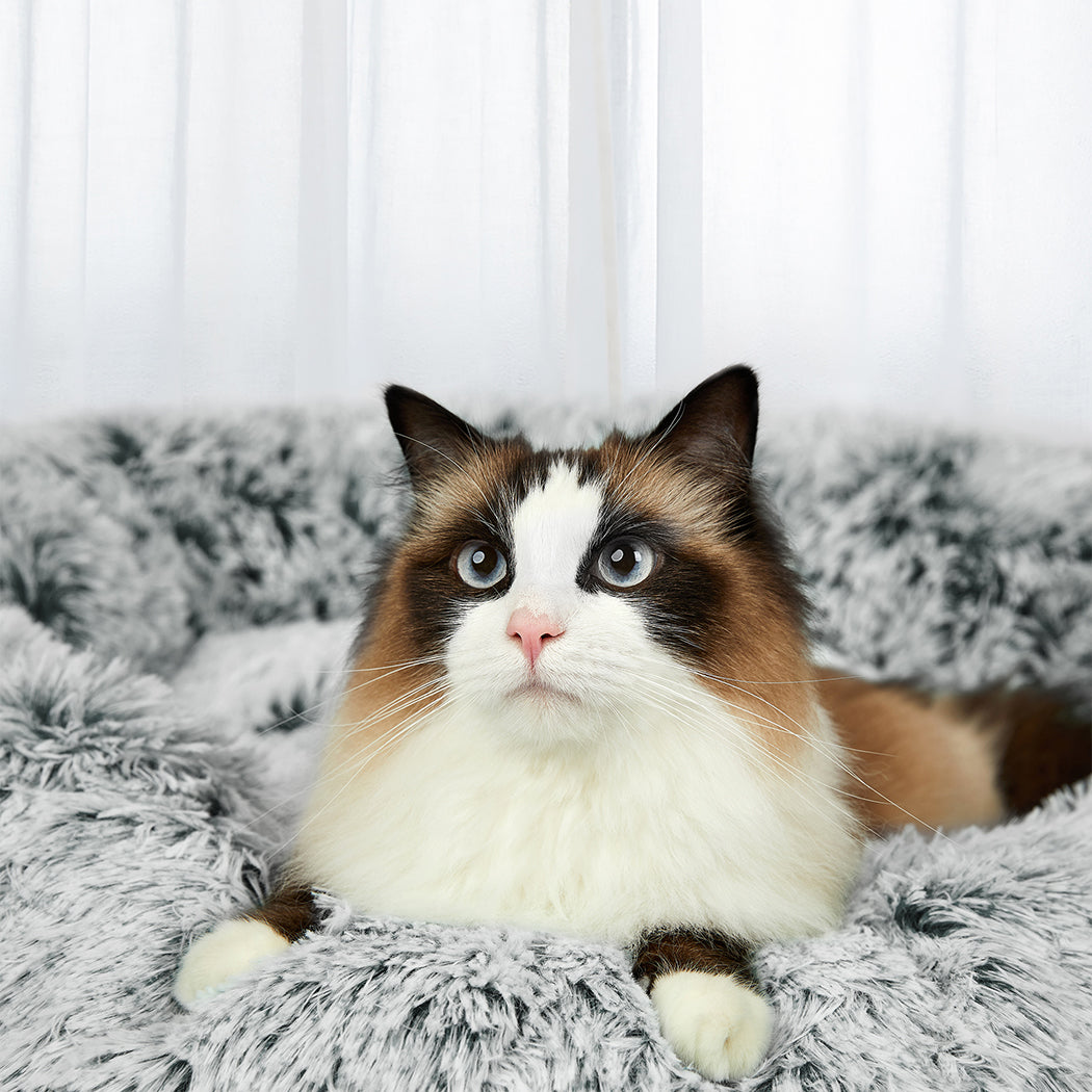 PaWz Pet Bed Memory Foam Dog Donut Charcoal Large-1864184559051083782