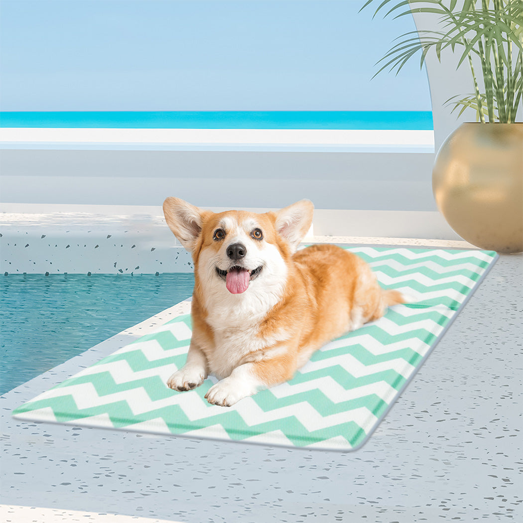 Pawz Pet Cooling Mat M Green-1894516778642575366