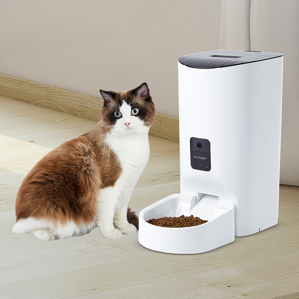 PaWz 6L Auto Feeder Pet Automatic Camera-1864184513605799943