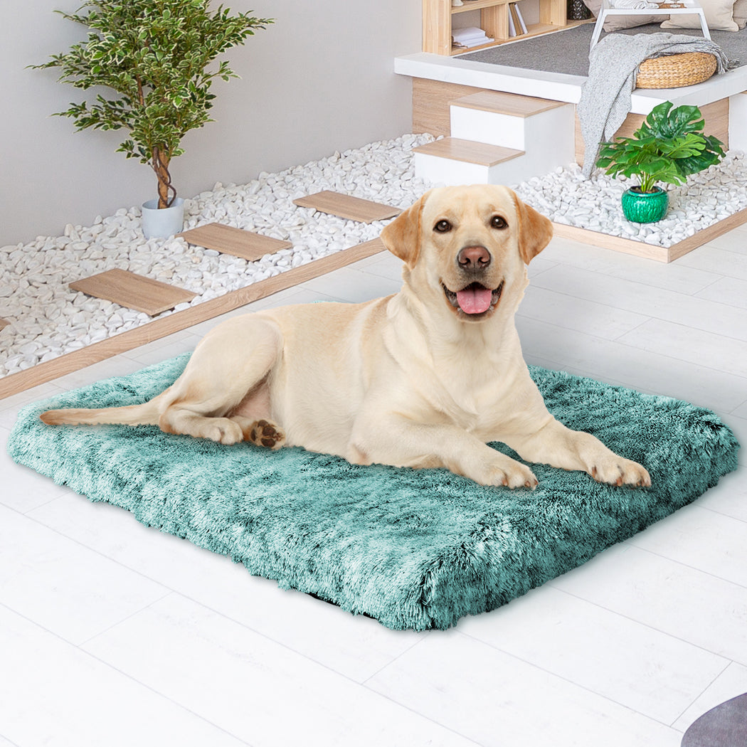 PaWz Dog Mat Pet Calming Bed Memory L Green Large-1864184529292496903