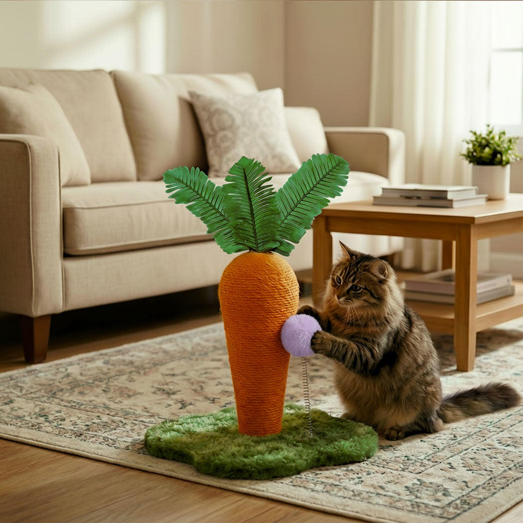 Pawz Cat Scratching Post Cute Carrot Scratching Post
