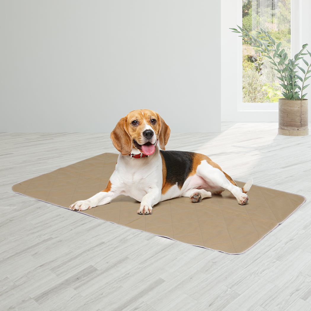 PaWz 2 Pcs 60x90 cm Reusable Waterproof Large-1864183332498182151