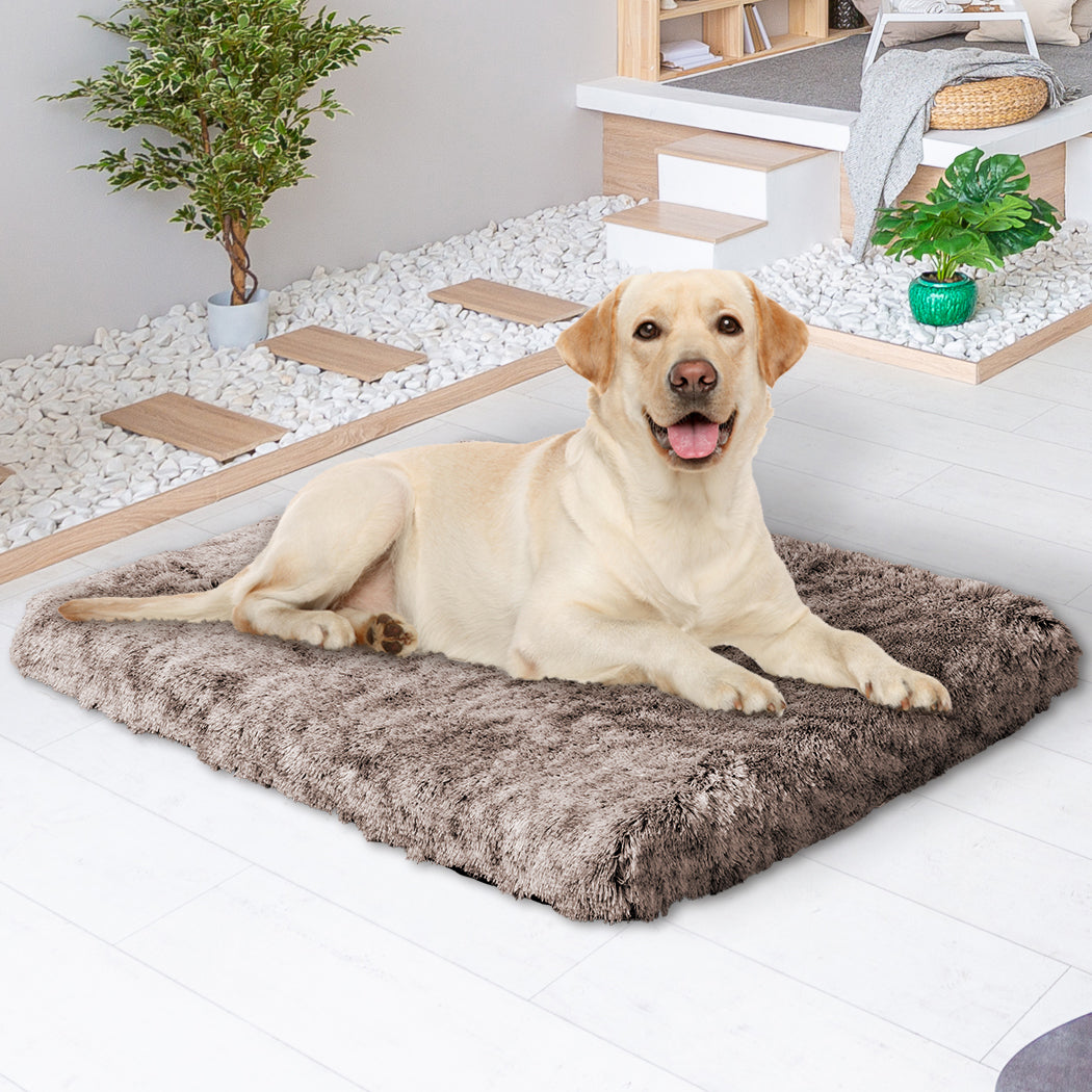 PaWz Dog Mat Pet Calming Bed Memory L Coffee Large-1864184528873066503