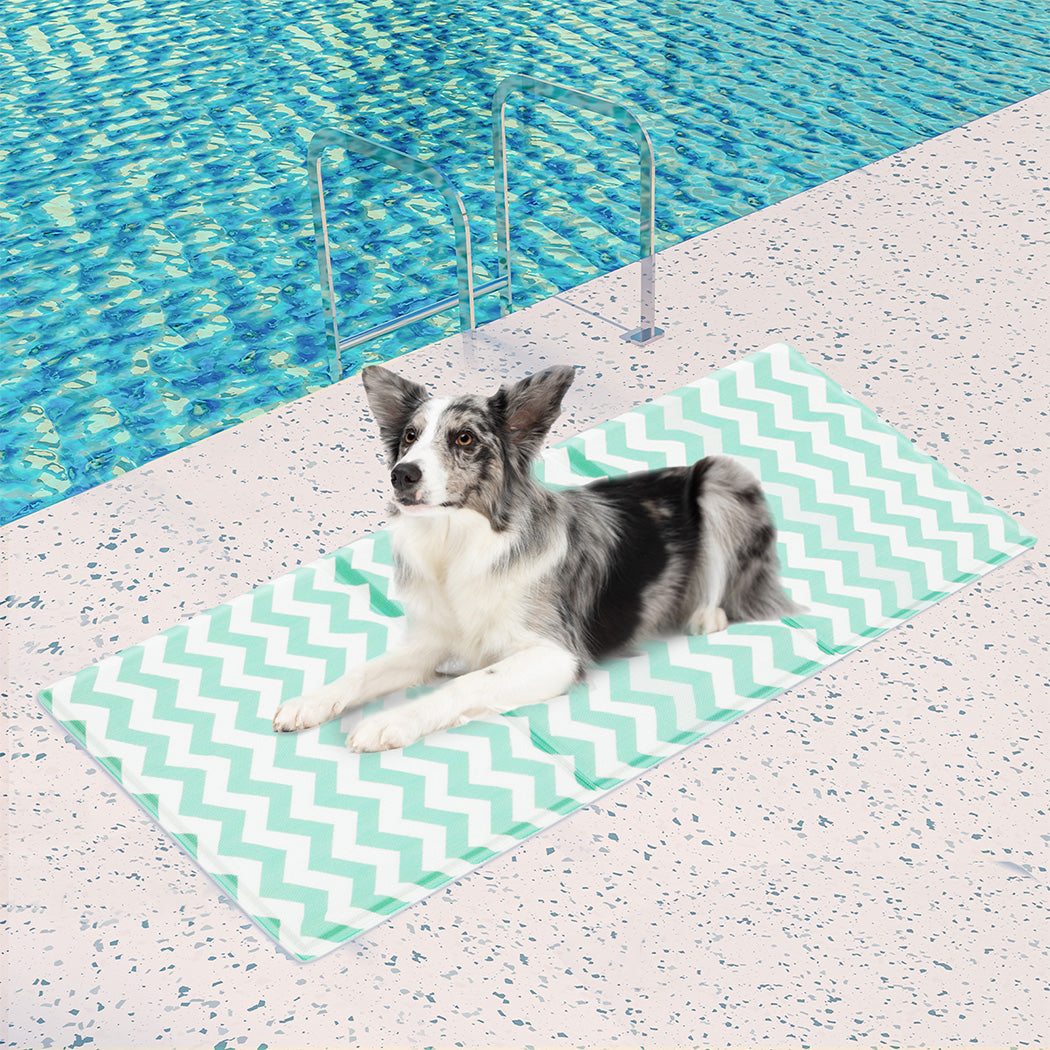 Pawz Pet Cooling Mat L Green-1894516778017624071