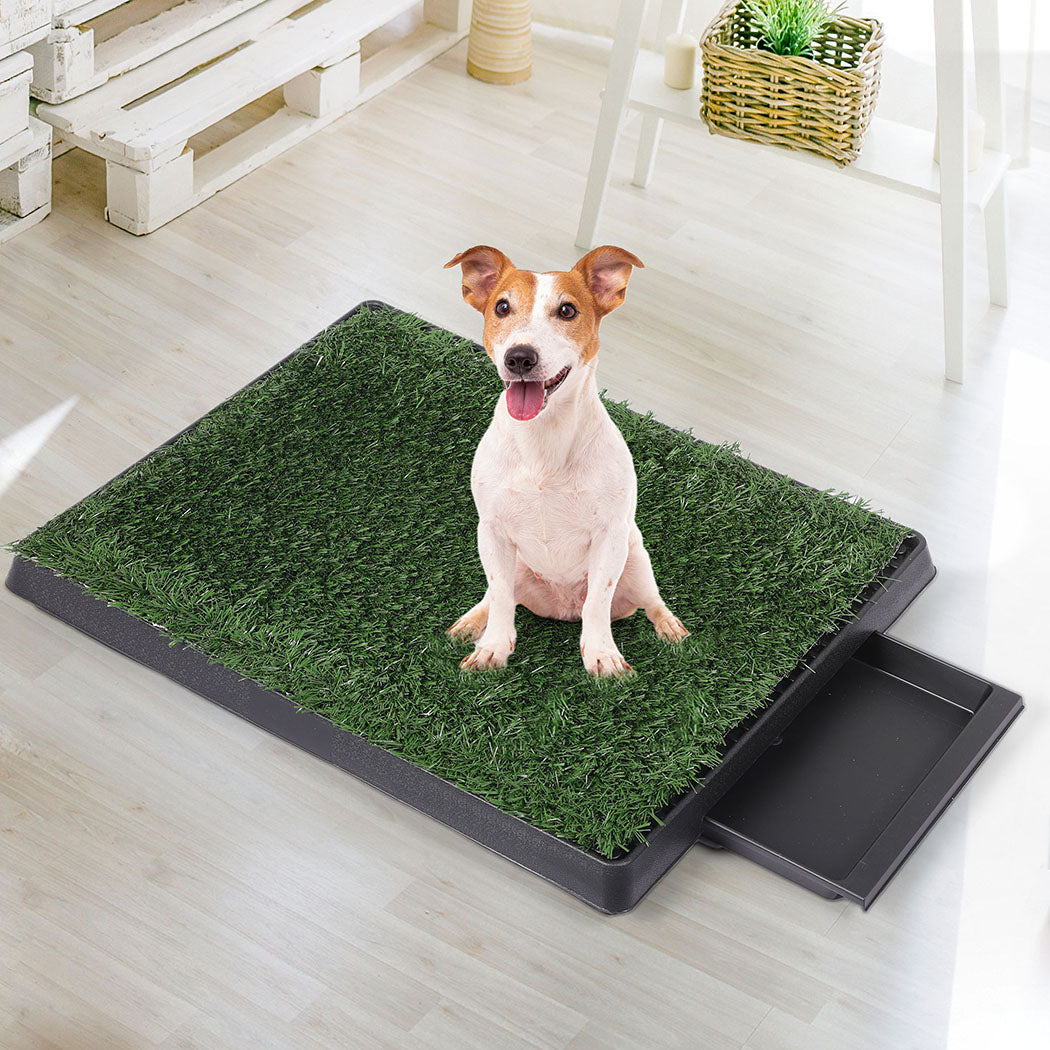 PaWz Indoor Dog Pet Grass Potty Training-1886651039562731526