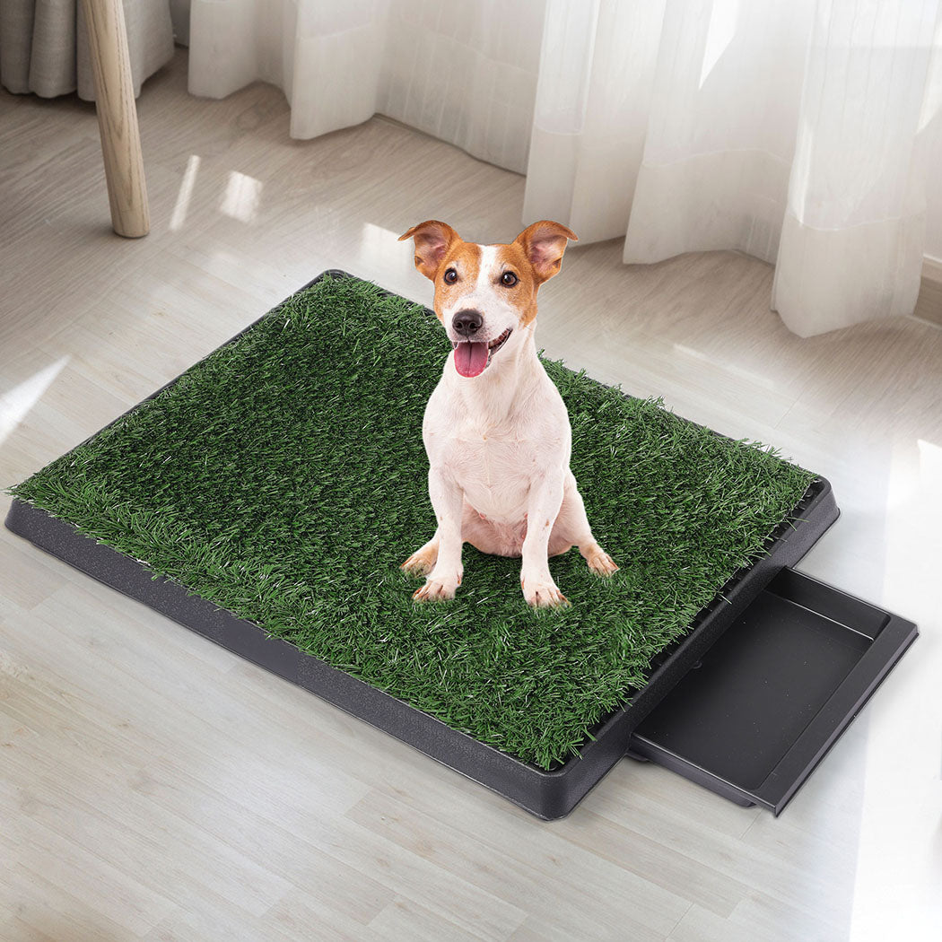 PaWz Indoor Dog Pet Grass Potty Training-1886651039562731527